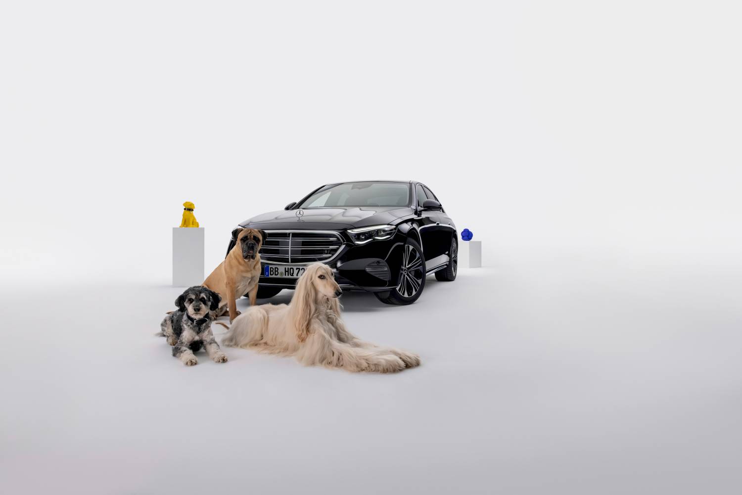 Η Mercedes-Benz έφτιαξε φωνητικό βοηθό για σκύλους