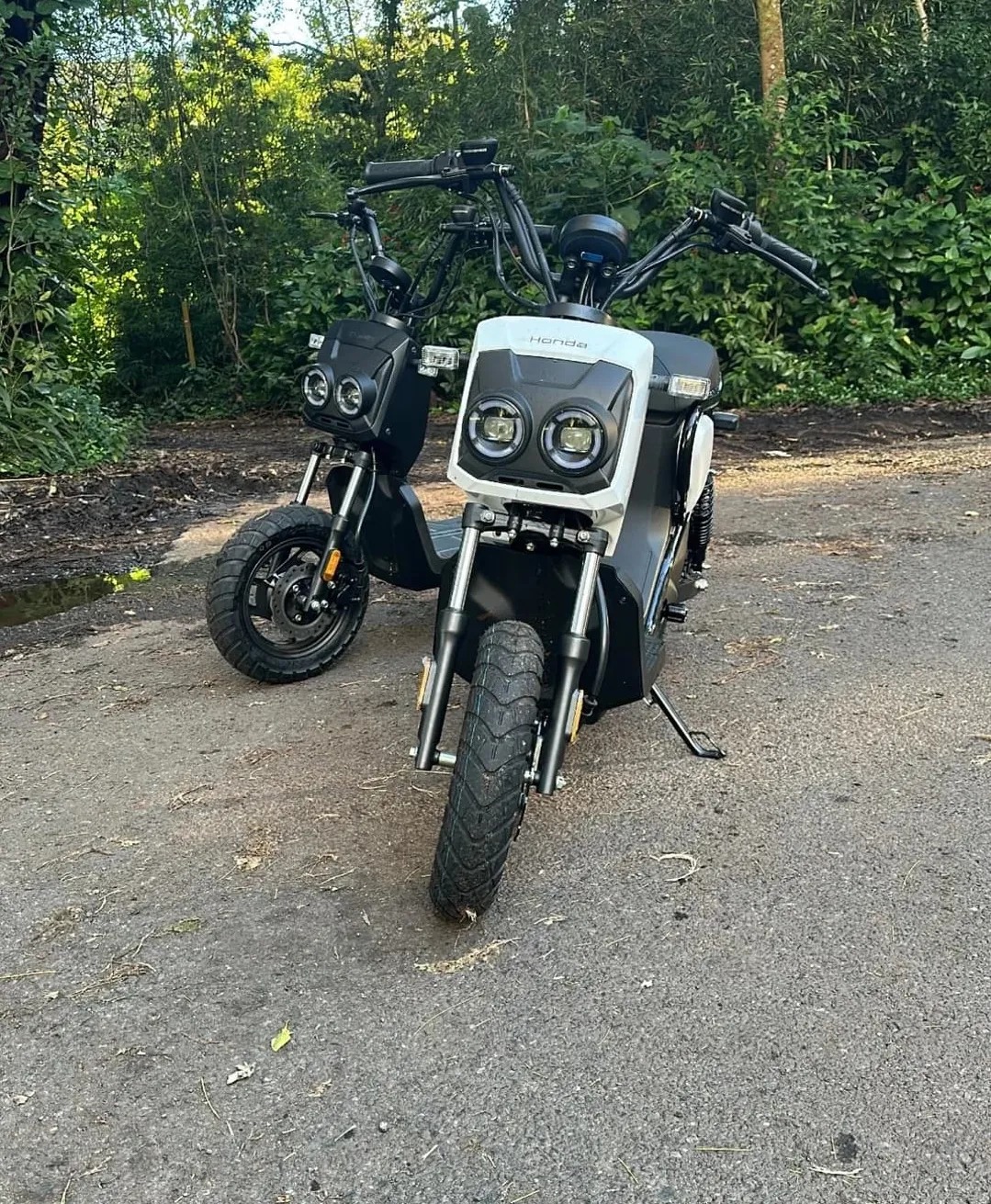 Αυτό είναι το ηλεκτρικό Honda Ruckus <p data-wpview-marker=