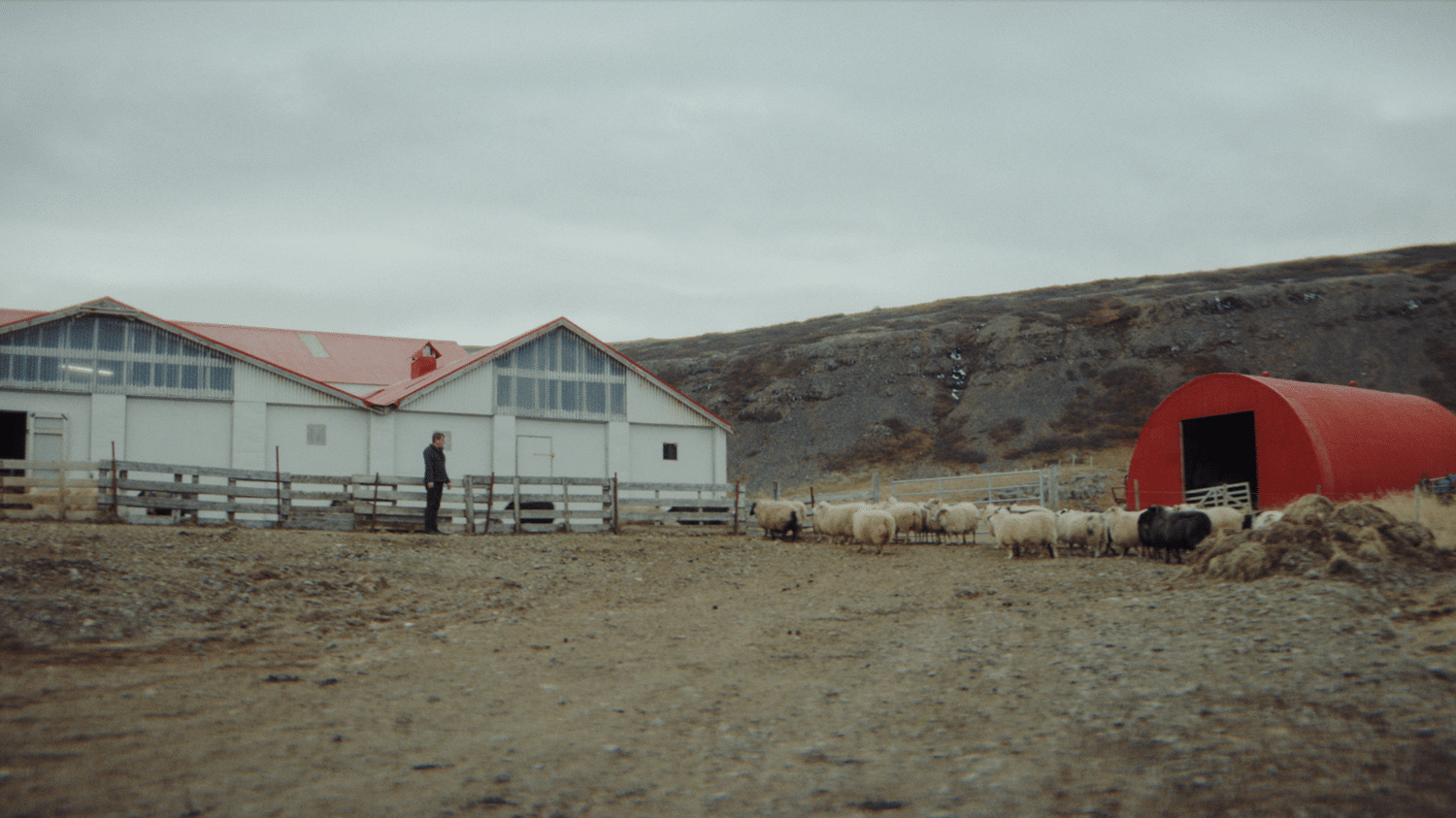 Αθάνατο το Octavia: Έγραψε ένα εκατομμύριο χιλιόμετρα στην Ισλανδία!