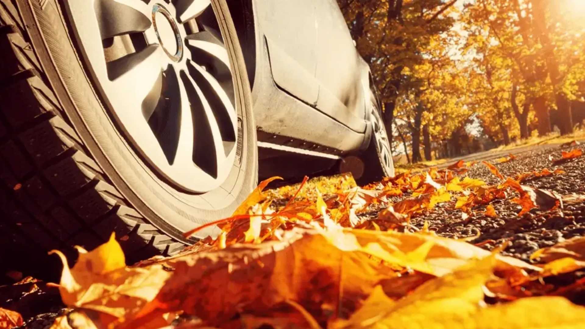 Φθινόπωρο & EVs: Ο αθόρυβος κίνδυνος των πεσμένων φύλλων!