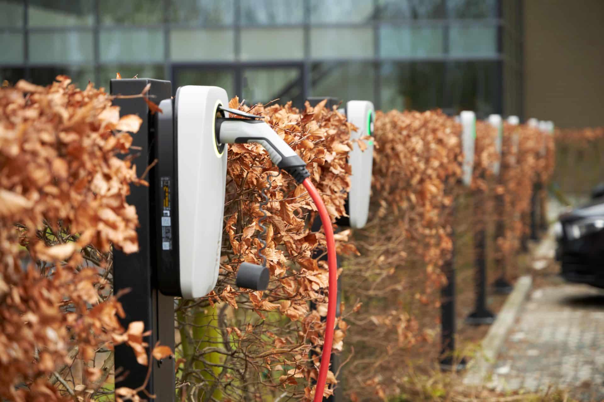 Ηλεκτροκίνηση χωρίς όρια: Η Blink Charging Hellas ξεπέρασε τους 320 σταθμούς φόρτισης σε μεγάλες εταιρείες και ομίλους πανελλαδικά