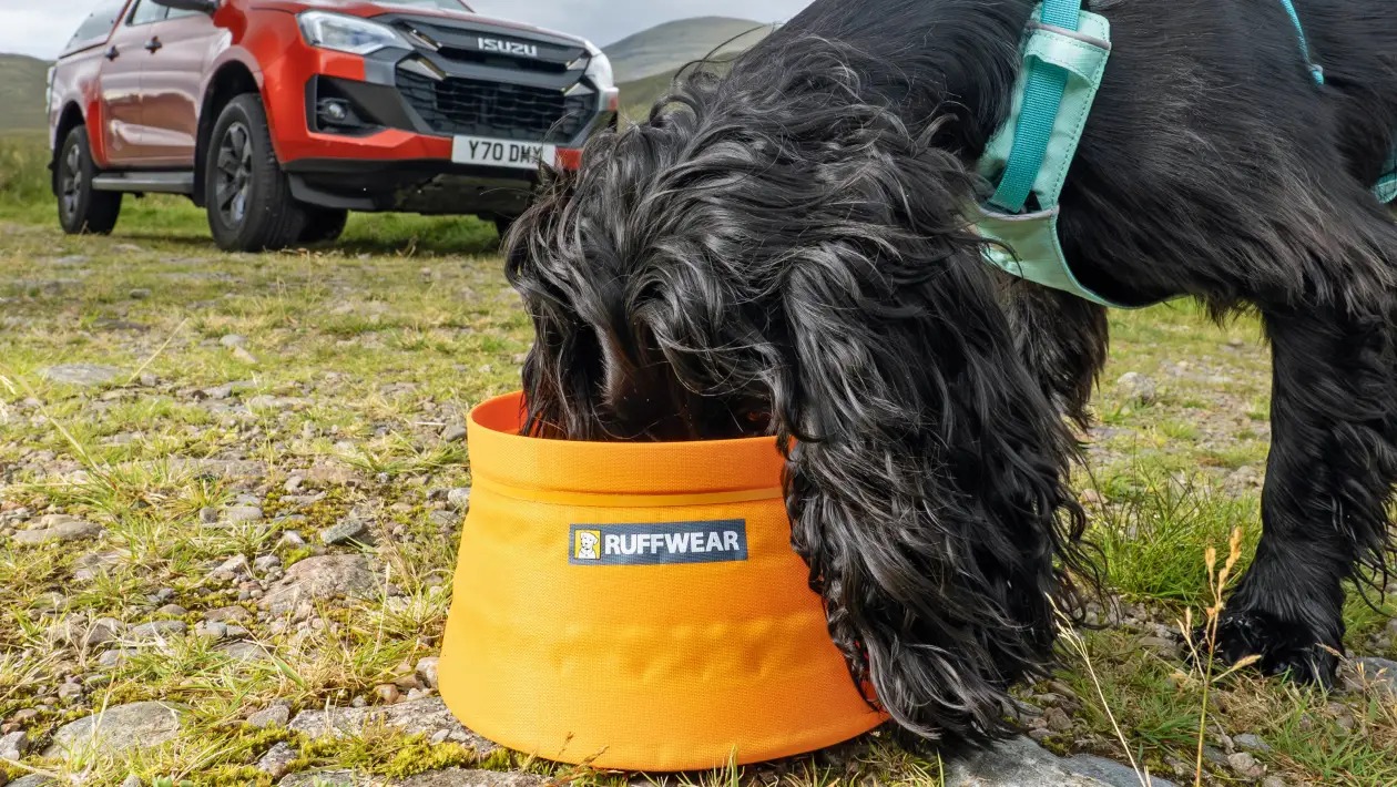 20 Χριστουγεννιάτικα δώρα με θέμα το αυτοκίνητο κοντά στα €60