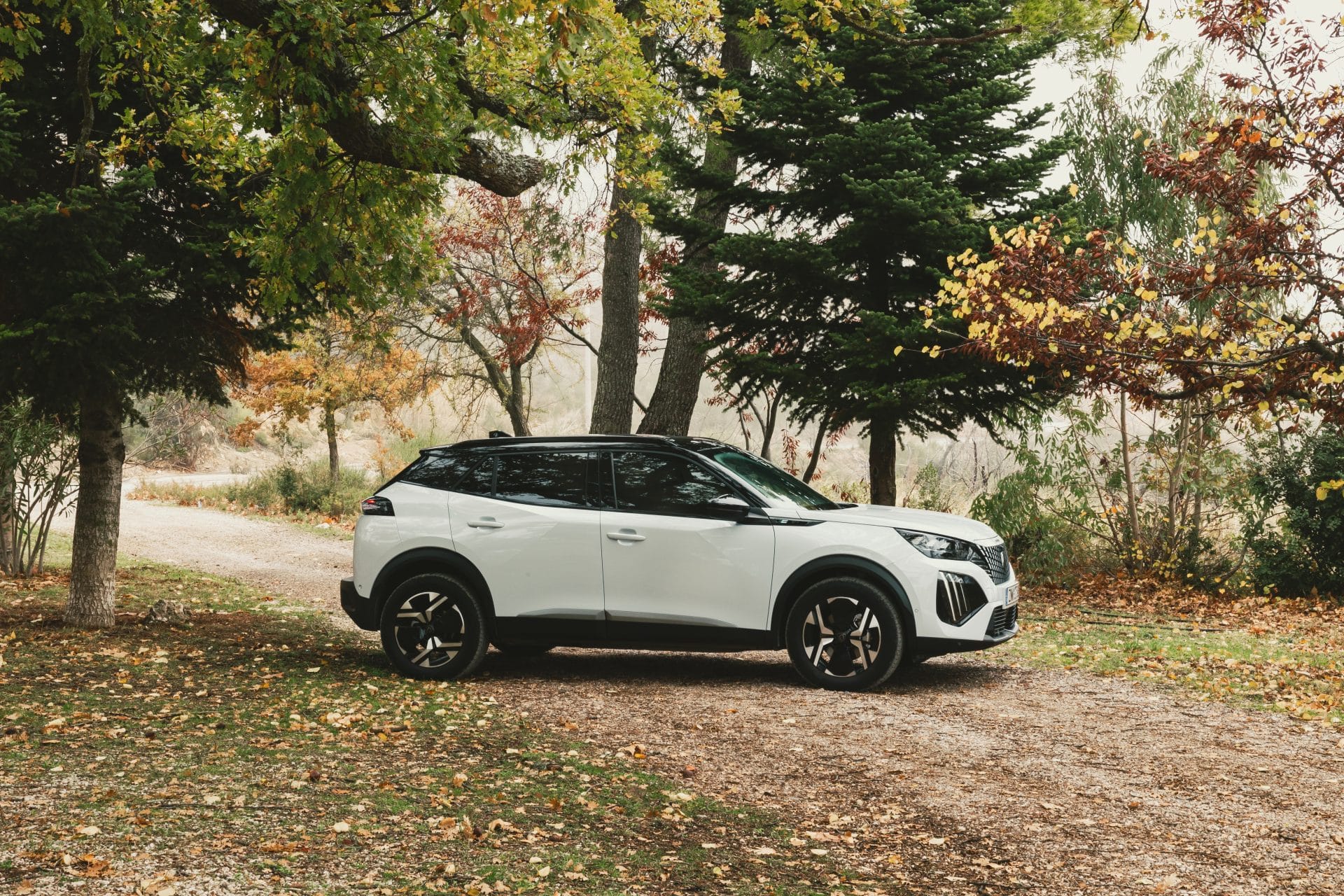 Peugeot e-2008: Τι λένε οι ιδιοκτήτες μετά από χρόνια χρήσης