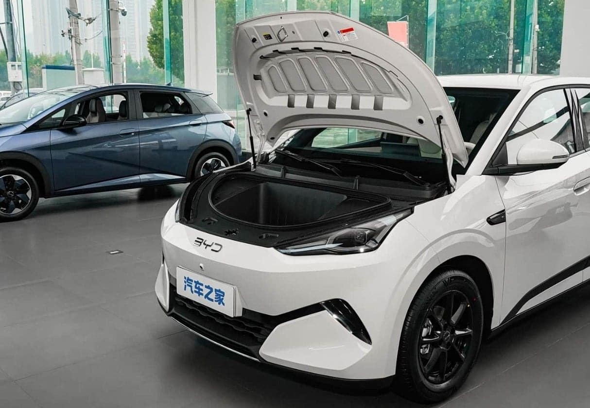 BYD Dolphin Surf